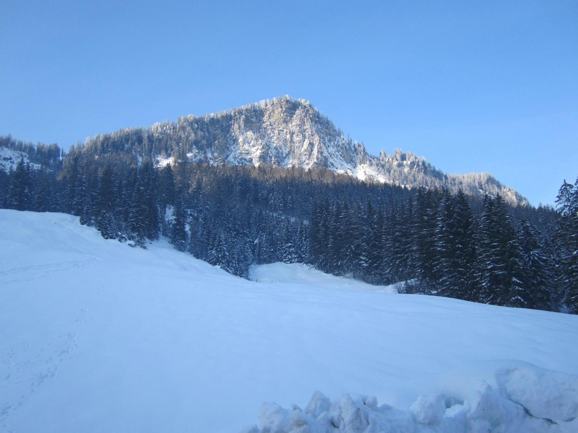 Oberschlassbergbauer Wald im Pinzgau Eksteriør bilde